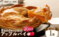 訳あり 国産りんご アップルパイ 1個 冷凍 工場直売 アウトレット スイーツ りんご ケーキ パイ シェア 母の日 父の日 沼津市 静岡県