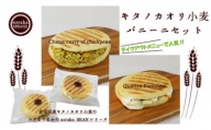 キタノカオリ小麦のモチモチ自家製パニーニ人気の2種詰め合わせ【24010】