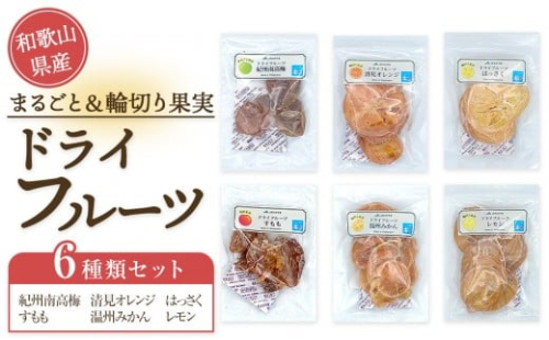 和歌山県産 丸ごと＆輪切り ドライフルーツ 6種類セット 2475246 - 和歌山県上富田町