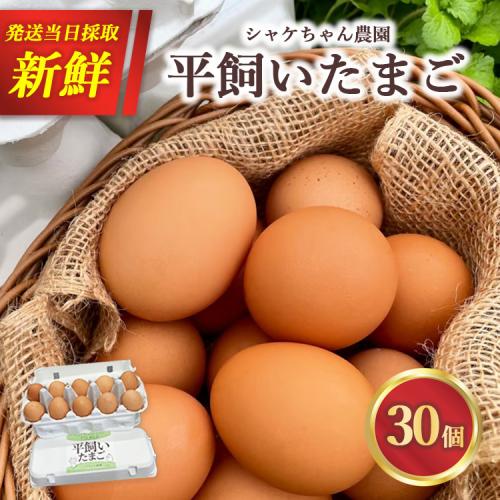 シャケちゃん農園の平飼い卵 30個 ｜ ボリスブラウン 新鮮 平飼い ケージフリー 鶏卵 玉子 たまご 生卵 国産 たまごかけご飯 朝食 ※離島への配送不可 2475497 - 神奈川県相模原市