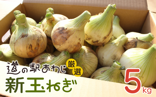 道の駅あわじ厳選新玉ねぎ５kg【発送時期2026年5月頃】 2475498 - 兵庫県淡路市