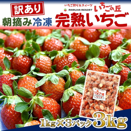 まるは食堂 マルハリゾート いちごの丘 『訳あり』完熟 冷凍いちご 3kg 1kg×3袋 ｜ 訳あり いちご イチゴ 冷凍 3kg 国産 完熟 スムージー ジャム ヨーグルト シャーベット デザート アイス おやつ 果物 フルーツ 愛知県 美浜町 ※北海道・沖縄・離島への配送不可 2475500 - 愛知県美浜町