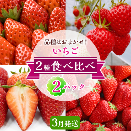 いちご 2種 (2パック) 食べ比べセット [3月発送] 品種はおまかせ！｜苺 イチゴ 果物 フルーツ 産地直送 [3228] 2475508 - 奈良県香芝市