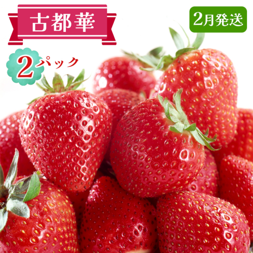 古都華 2パックセット [2月] 発送｜ことか いちご 苺 イチゴ 果物 フルーツ 産地直送 [3231] 2475510 - 奈良県香芝市