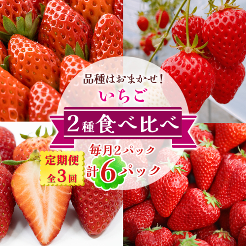 [定期便／全3回] いちご 2種 (2パック) 食べ比べセット 毎月お届け 1月から3月発送｜苺 イチゴ 果物 フルーツ 産地直送 [3233] 2475512 - 奈良県香芝市