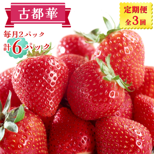 [定期便／全3回] 古都華 2パックセット 毎月お届け1月から3月発送｜ことか いちご 苺 イチゴ 果物 フルーツ 産地直送 [3234] 2475513 - 奈良県香芝市