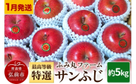 【26年1月～発送】りんご ふみ丸ファーム 最高等級「特選」サンふじ 約5kg