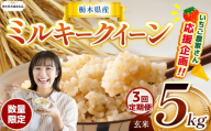 [栃木県共通返礼品][先行予約][定期3回] 訳あり 定期便 数量 限定 令和8年度産 ミルキークイーン 玄米 5kg| とちぎの星 ミルキークイーン お米 kome okome ご飯 米 玄米 白米 ごはん おいしい ふるさと納税 那珂川町 栃木県 送料無料