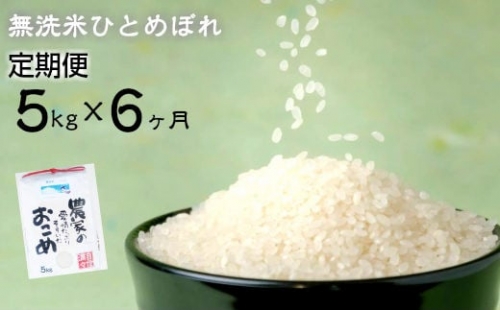 減農薬栽培 ひとめぼれ 無洗米 5kg 定期便 6ヶ月 【713】