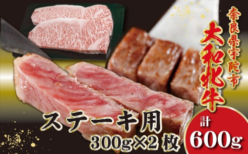 ＜冷凍＞大和牝牛 サーロインステーキ 300g×2枚 計600g ／太田家 和牛 牛肉 焼肉 お弁当 バーベキュー アウトドア キャンプ 父の日 お中元 贈答用 贈り物 暑中見舞い お土産 お歳暮 美味しい部位 奈良県 宇陀市 ふるさと納税 2475863 - 奈良県宇陀市