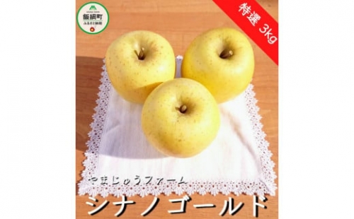 りんご シナノゴールド 特選3kg 【令和4年度収穫分】 ※沖縄および離島への配送不可 ※2022年11月中旬頃から順次発送予定 やまじゅうファーム 信州の環境にやさしい農産物 減農薬栽培 長野県飯綱町 [0854] 247704 - 長野県飯綱町