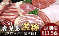 ≪全3回≫【南大隅町限定】 食べ応え満点 ！ ★ かごしま黒豚 ブロック肉 定期便 ★ 鹿児島県産 NS-26 ｜ 肉 豚肉 ぶた 豚 ブタ 黒豚 鹿児島黒豚 ロース ブロック バラ 肩ロース バラブロック 肩ロースブロック ファミリー 産地直送 肉定期便 鹿児島県 南大隅町 南州農場