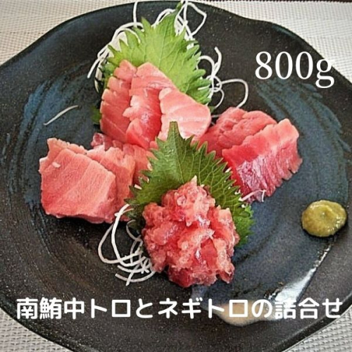 a20-313　天然 南鮪 中トロ と ネギトロ の 詰合せ 約800g入 2478403 - 静岡県焼津市