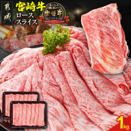 宮崎牛ローススライス 500g×2パック_29-N203【肉 牛肉 スライス 人気 おすすめ すきやき しゃぶしゃぶ 焼き肉 焼肉 BBQ】