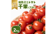 入間市産完熟ミニトマト「千果(ちか)」2kg【1491951】