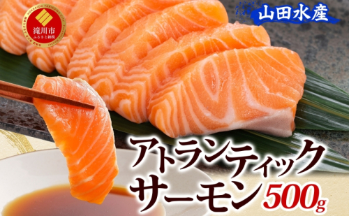 山田水産 アトランティックサーモン 500g 鮭 海鮮 サーモン 生食用 刺身用 サケ さけ シャケ しゃけ 魚 魚介類 刺身 寿司 海鮮丼 丼 新鮮 おかず おつまみ 海の幸 送料無料 山田水産 北海道 滝川市 2479265 - 北海道滝川市