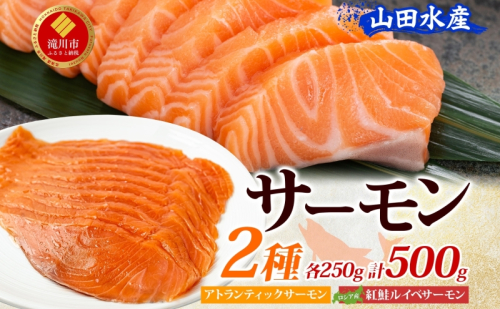 山田水産 アトランティックサーモン ロシア産 紅鮭 ルイベ サーモン 各250g 計500g 小分け 鮭 海鮮 生食用 刺身用 サケ さけ シャケ しゃけ 魚 魚介類 刺身 寿司 丼 新鮮 送料無料 山田水産 北海道 滝川市 2479266 - 北海道滝川市