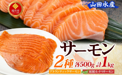 山田水産 アトランティックサーモン ロシア産 紅鮭 ルイベ サーモン 各500g 計1kg 鮭 海鮮 生食用 刺身用 サケ さけ シャケ しゃけ 魚 魚介類 刺身 寿司 丼 新鮮 送料無料 山田水産 北海道 滝川市 2479267 - 北海道滝川市