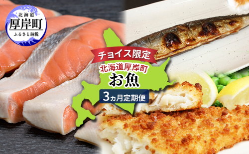 北海道 厚岸町 お魚 3ヵ月 定期便 [ 鮭 さけ サケ 焼き魚 サンマ 秋刀魚 さんま 漬魚 魚 魚介類 加工食品 ] 2479270 - 北海道厚岸町