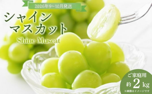 ＜2026年発送分 先行予約＞9～10月発送ご家庭用シャインマスカット2Kg箱【029-a013】 2479281 - 岡山県鏡野町