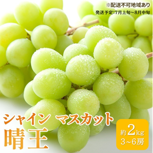 ぶどう 2026年 先行予約 シャイン マスカット 晴王 3房～6房 約2kg ブドウ 葡萄  岡山県産 国産 フルーツ 果物 ギフト シャインマスカット 美しい 大粒 種なし 弾力 高糖度 甘い 2479282 - 岡山県高梁市