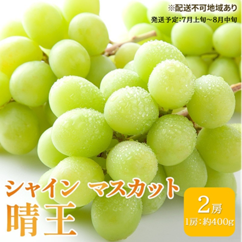 ぶどう 2026年 先行予約 シャイン マスカット 晴王 約400g×2房 ブドウ 葡萄  岡山県産 国産 フルーツ 果物 ギフト シャインマスカット 美しい 大粒 種なし 弾力 高糖度 甘い 2479284 - 岡山県高梁市