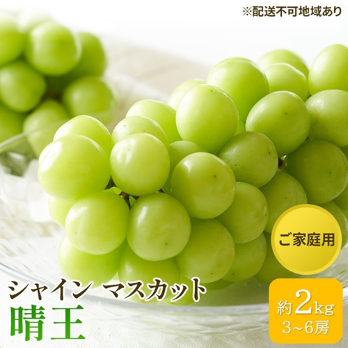 ぶどう 2026年 先行予約 ご家庭用 シャイン マスカット 晴王 3～6房 約2kg ブドウ 葡萄  岡山県産 国産 フルーツ 果物 太陽 美しい 外観 大粒 高糖度 種なし 皮ごと 弾力 食感 美味しい 2479288 - 岡山県高梁市