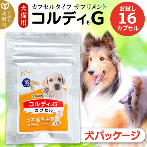 犬 猫 いつものエサにプラス！ペット用サプリメント コルディG 16カプセル(犬猫用) 犬パッケージ [犬用 猫用 わんちゃん用 ワンちゃん用 ねこちゃん用 ネコちゃん用 猫ちゃん用 老犬 老猫 シニア サプリメント ペット] 2479297 - 宮城県利府町