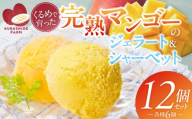 【2026年7月お届け】完熟マンゴーのジェラート＆シャーベット130ml×12個入り _Dw012-12
