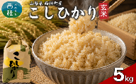 コシヒカリ【玄米】 5キロ 1袋 / 国産 こしひかり  5キロ 令和7年産 米 お米 保存袋 生活必需品 ギフト 贈り物 お歳暮 ふるさと納税 送料無料【n0668-05_gou】
