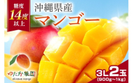 【 先行予約 2026年 発送】ゆたか農園　糖度14度以上！沖縄県産マンゴー 3L 2玉 アップルマンゴー アーウィンマンゴー 国産 完熟マンゴー 果物 くだもの フルーツ 完熟 夏 旬 特産品 沖縄 お取り寄せ 産地直送 農家直送 甘い 濃厚 糸満市