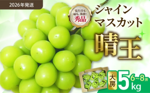 【令和８年発送分】岡山県産 シャインマスカット晴王【秀品】大房5kg（令和8年9月から10月頃発送）【 岡山県産 シャインマスカット 秀品 晴王 大房 晴れの国おかやま ぶどう 葡萄】 2481003 - 岡山県備前市