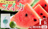 [定期便][6回]すいか 中玉 1玉 定期便 ルナ・ピエナスイカ 西瓜 高知県産 すいか ルナピエナ スイか ギフト 贈り物 大玉 のし ていきびん テイキビン フルーツ大好き すいか 西瓜 果物 夏の果物 定期びん 高知県 香南市 常温 先行予約 すいか 定期便 Wyu-0065
