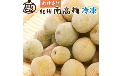 家庭用 冷凍梅 約0.5kg 紀州南高梅 青梅 黄梅 完熟梅 訳あり 2481996 - 和歌山県有田川町