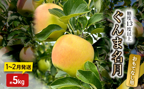 りんご【1～2月発送】糖度13度以上 ぐんま名月 おもてなし品  約5kg【青森りんご】 2482108 - 青森県鶴田町