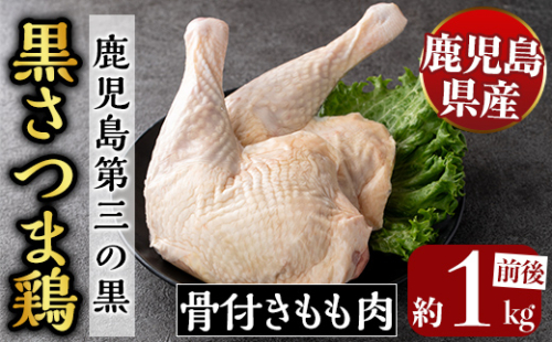 K-687 鹿児島県産黒さつま鶏 骨付きもも肉 2～3本(約1kg前後)【ビッグバード・カピリナ】霧島市 国産 鶏肉 鳥肉 骨付き肉 骨つき モモ肉 鶏もも 肉 2482112 - 鹿児島県霧島市