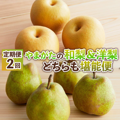 【定期便2回】やまがたの和梨＆洋梨どちらも堪能便【令和8年産先行予約】FS25-138 2482393 - 山形県山形市