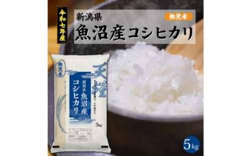 【定期便6回】令和7年産 新潟県 魚沼産 無洗米 コシヒカリ5kg 精米 一等米  天糧 2482859 - 新潟県新潟県庁