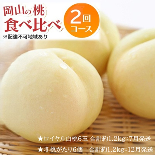 先行予約 晴れの国 岡山のフルーツ 定期便 2回コース 1回目ロイヤル白桃6玉 合計約1.2kg／2回目冬桃がたり6個 合計約1.2kg 2483102 - 岡山県高梁市