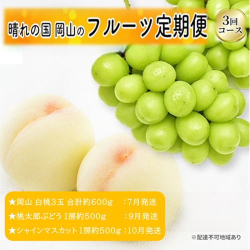 先行予約 晴れの国 岡山のフルーツ 定期便 3回コース 1回目岡山 白桃3玉 合計約600g／2回目桃太郎ぶどう 1房約500g／3回目シャインマスカット 1房約500g 2483103 - 岡山県高梁市