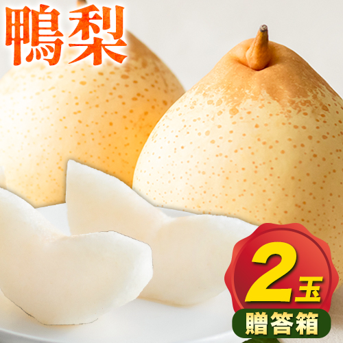 【先行予約】梨 なし 鴨梨 ヤーリー 贈答箱 2玉 石原果樹園 《11月中旬-12月下旬頃より発送予定》岡山県 浅口市 果物 フルーツ お取り寄せ お取り寄せフルーツ 送料無料
 2483158 - 岡山県浅口市