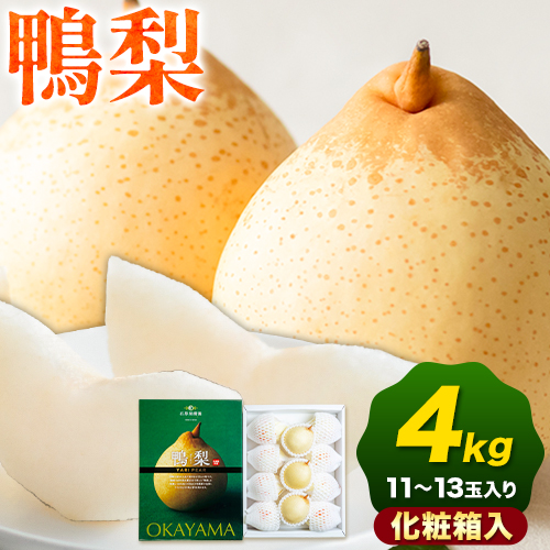 【先行予約】梨 なし 鴨梨 ヤーリー 梨 化粧箱入 4kg (11～13玉入り) 石原果樹園 《2026年11月中旬-12月下旬頃より発送予定》岡山県 浅口市 果物 フルーツ お取り寄せ お取り寄せフルーツ 送料無料
 2483179 - 岡山県浅口市