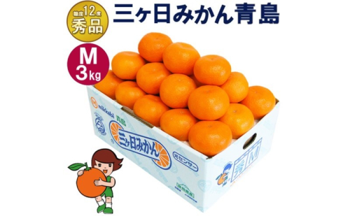 三ケ日みかん 青島【秀品】Mサイズ3kg(27個前後) ミカン 果物 くだもの フルーツ 甘い 静岡県 浜松市 果物類 柑橘類 ※配送不可：北海道・沖縄県・離島 2483311 - 静岡県浜松市