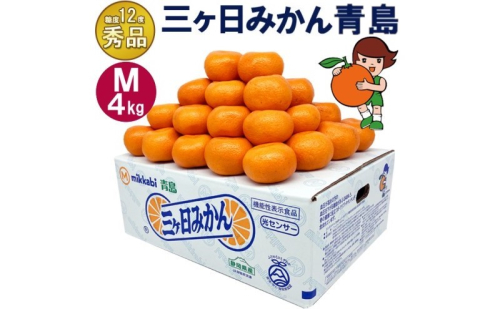 三ケ日みかん 青島【秀品】Mサイズ4kg(36個前後) ミカン 果物 くだもの フルーツ 甘い 静岡県 浜松市 果物類 柑橘類 ※配送不可：北海道・沖縄県・離島 2483312 - 静岡県浜松市