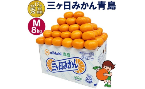三ケ日みかん 青島【秀品】Mサイズ8kg(72個前後) ミカン 果物 くだもの フルーツ 甘い 静岡県 浜松市 果物類 柑橘類 ※配送不可：北海道・沖縄県・離島 2483313 - 静岡県浜松市