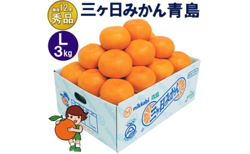 三ケ日みかん 青島【秀品】Lサイズ3kg(23個前後) ミカン 果物 くだもの フルーツ 甘い 静岡県 浜松市 果物類 柑橘類 ※配送不可：北海道・沖縄県・離島 2483314 - 静岡県浜松市