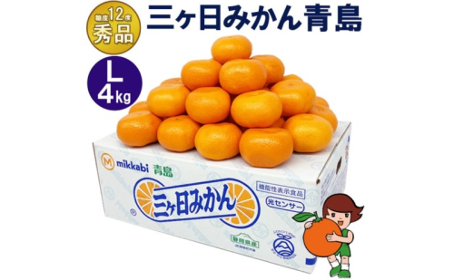 三ケ日みかん 青島【秀品】Lサイズ4kg(30個前後) ミカン 果物 くだもの フルーツ 甘い 静岡県 浜松市 果物類 柑橘類 ※配送不可：北海道・沖縄県・離島 2483315 - 静岡県浜松市