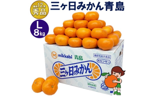 三ケ日みかん 青島【秀品】Lサイズ8kg(60個前後) ミカン 果物 くだもの フルーツ 甘い 静岡県 浜松市 果物類 柑橘類 ※配送不可：北海道・沖縄県・離島 2483316 - 静岡県浜松市