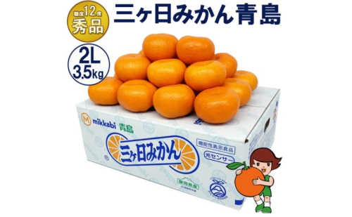 三ケ日みかん 青島【秀品】2Lサイズ3.5kg(20個前後) ミカン 果物 くだもの フルーツ 甘い 静岡県 浜松市 果物類 柑橘類 ※配送不可：北海道・沖縄県・離島 2483317 - 静岡県浜松市