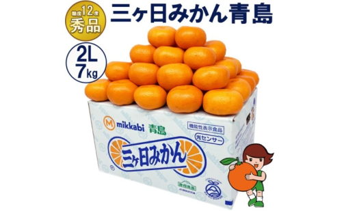三ケ日みかん 青島【秀品】2Lサイズ7kg(40個前後) ミカン 果物 くだもの フルーツ 甘い 静岡県 浜松市 果物類 柑橘類 ※配送不可：北海道・沖縄県・離島 2483318 - 静岡県浜松市